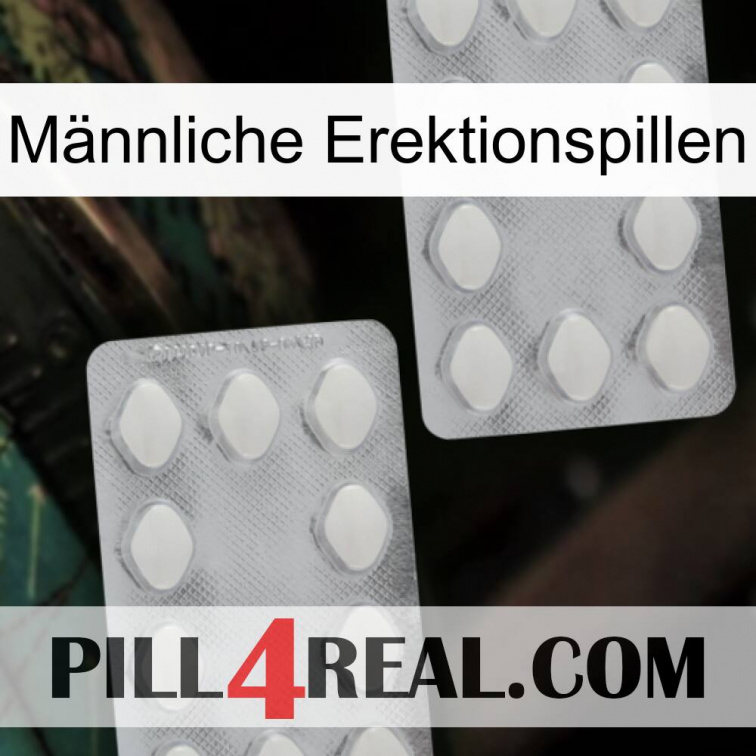 Männliche Erektionspillen 17